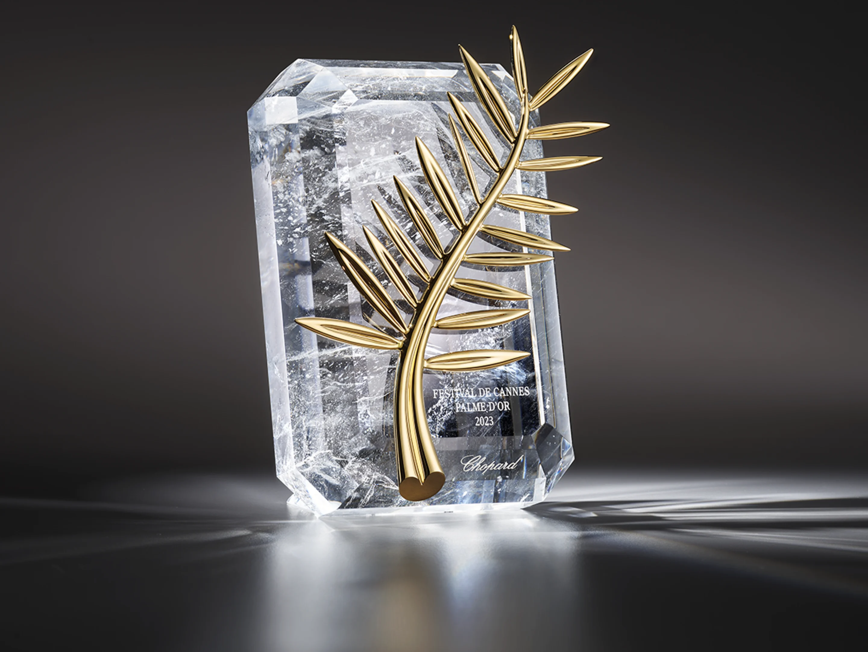 Partenaire Officiel du Festival de Cannes